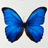 niraks Avatar
