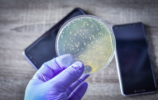 Smartphones als Keimschleudern