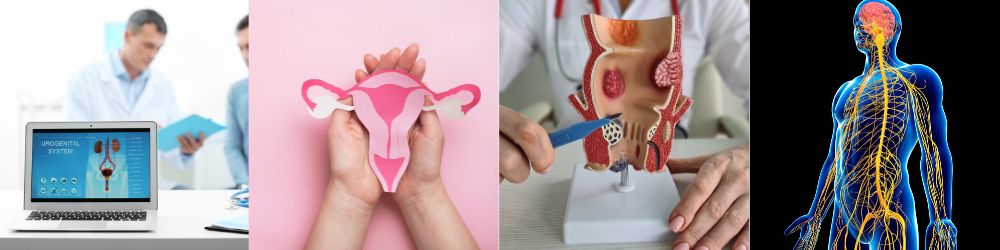 Urologie, Gynäkologie, Proktologie und Neurologie